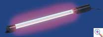 Neon interno lava grande rosso