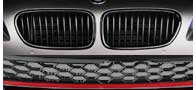 Radiator Grill